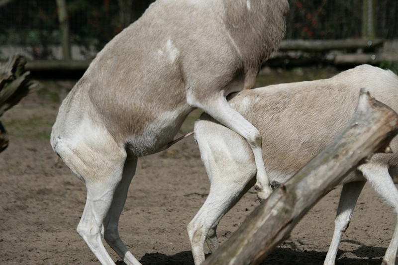 Fotoclubje Blijdorp 2008-65.jpg